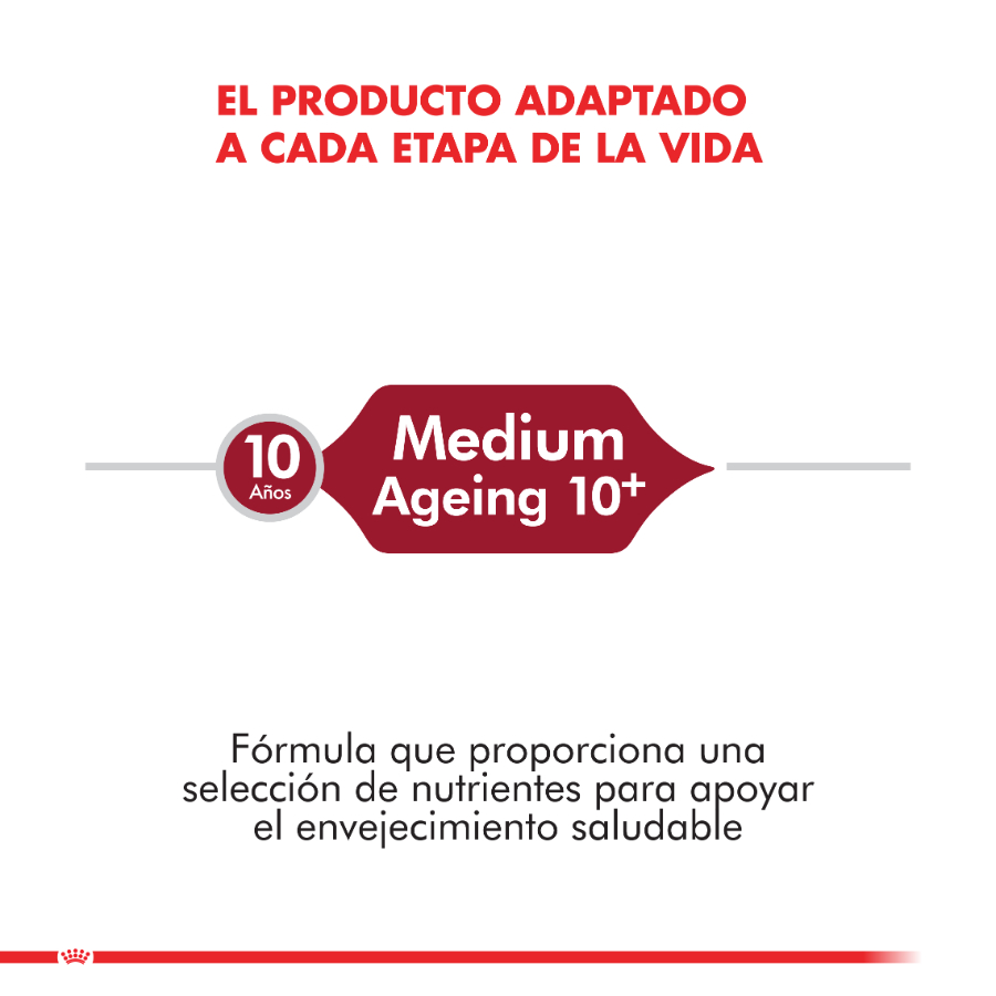Royal Canin alimento seco para perro adulto Medium Ageing 10+ 15KG, , large image number null